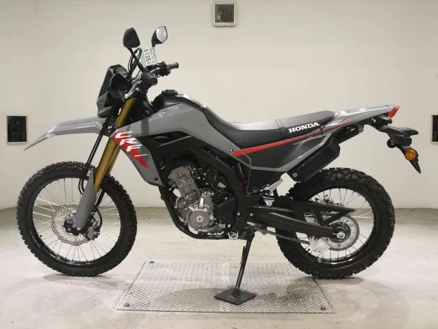 Honda CRF250 Rally, серый, фото 2