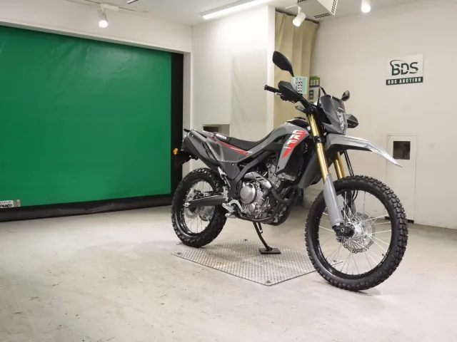 Honda CRF250 Rally, серый, фото 3