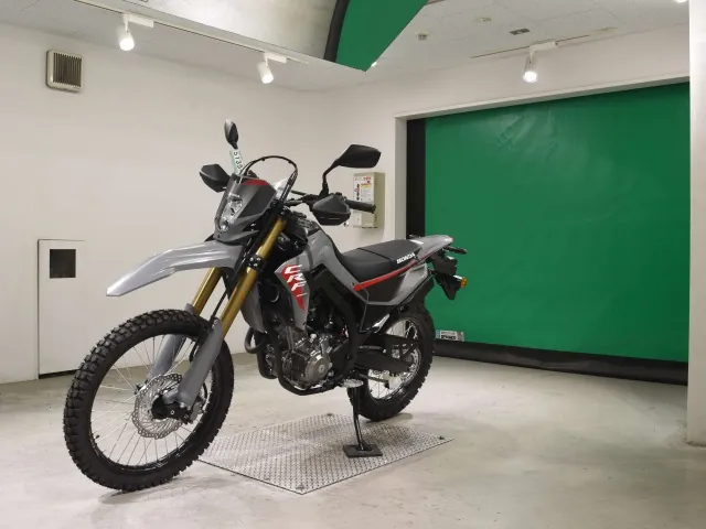 Honda CRF250 Rally, серый, фото 4