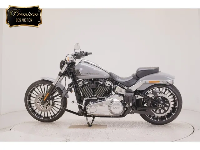Harley-Davidson FXBR1920 2025, серый, фото 2