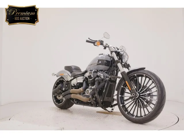 Harley-Davidson FXBR1920 2025, серый, фото 3
