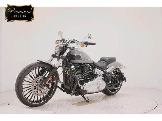 Harley-Davidson FXBR1920 2025, серый, фото 4