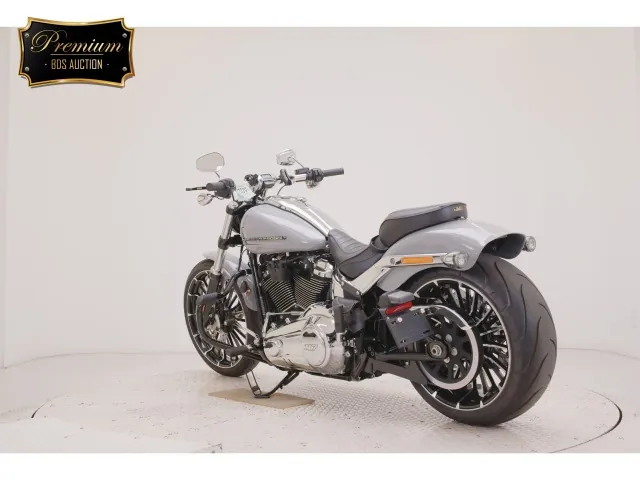 Harley-Davidson FXBR1920 2025, серый, фото 6