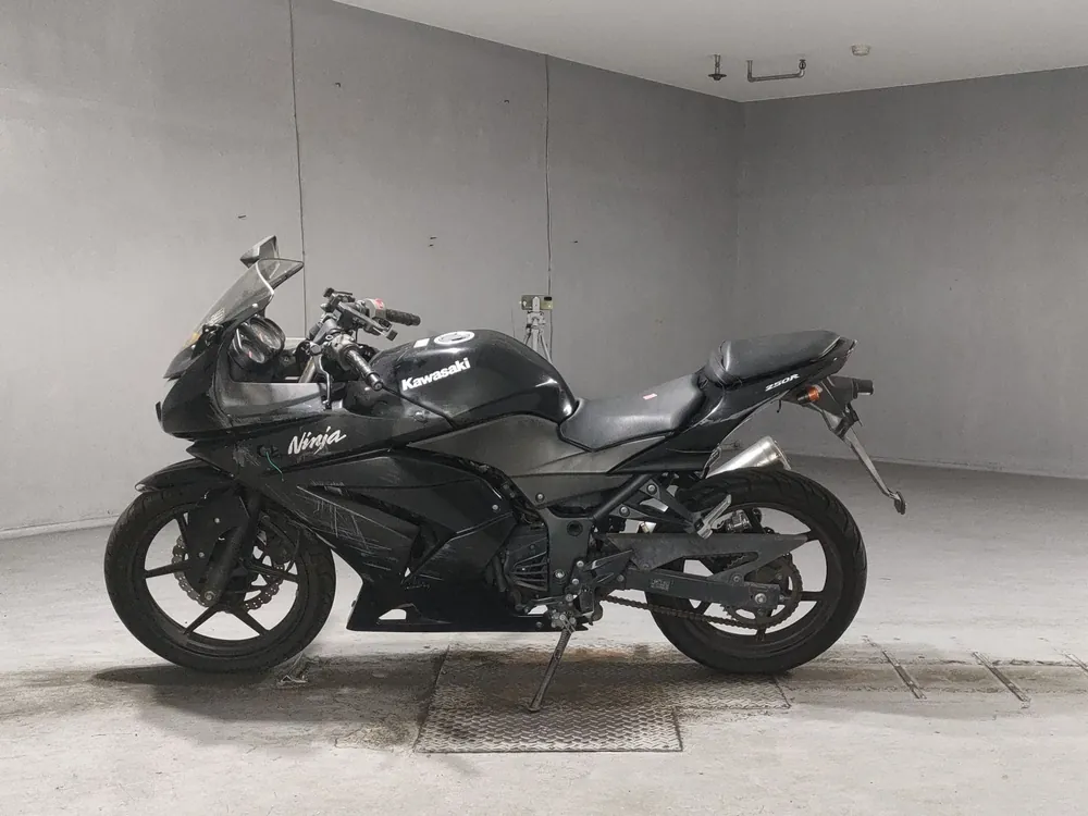 Kawasaki Ninja 250SL, чёрный, фото 2