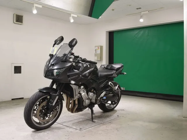 Yamaha FZ1 2009, серый, фото 4