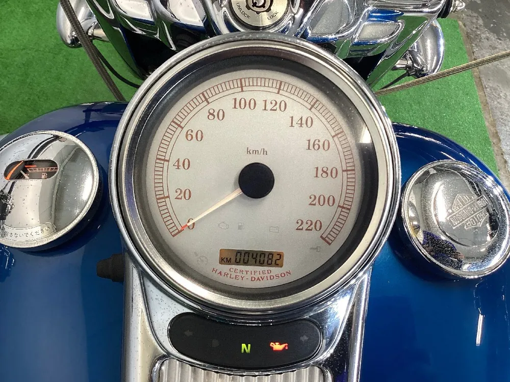 Harley-Davidson FLHRS1450 2005, фото 8