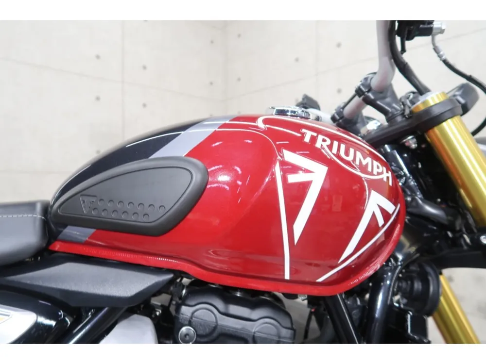 Triumph Speed 400 2024, red/gray, фото 9