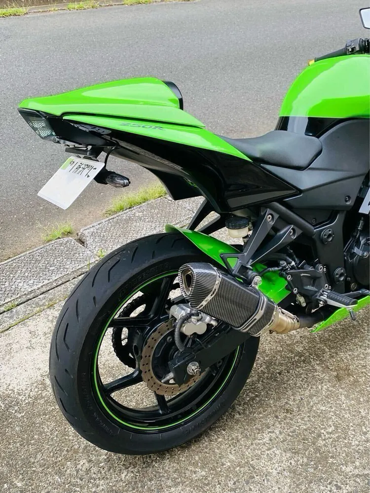 Kawasaki Ninja 250R 2009, фото 8
