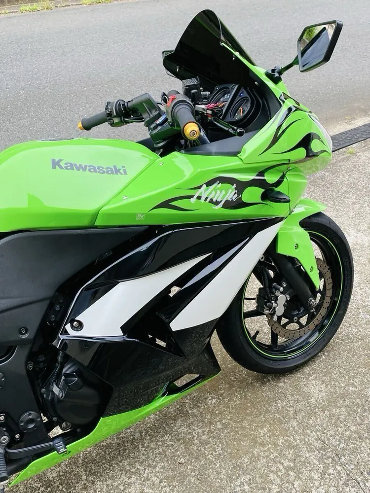 Kawasaki Ninja 250R 2009, фото 9