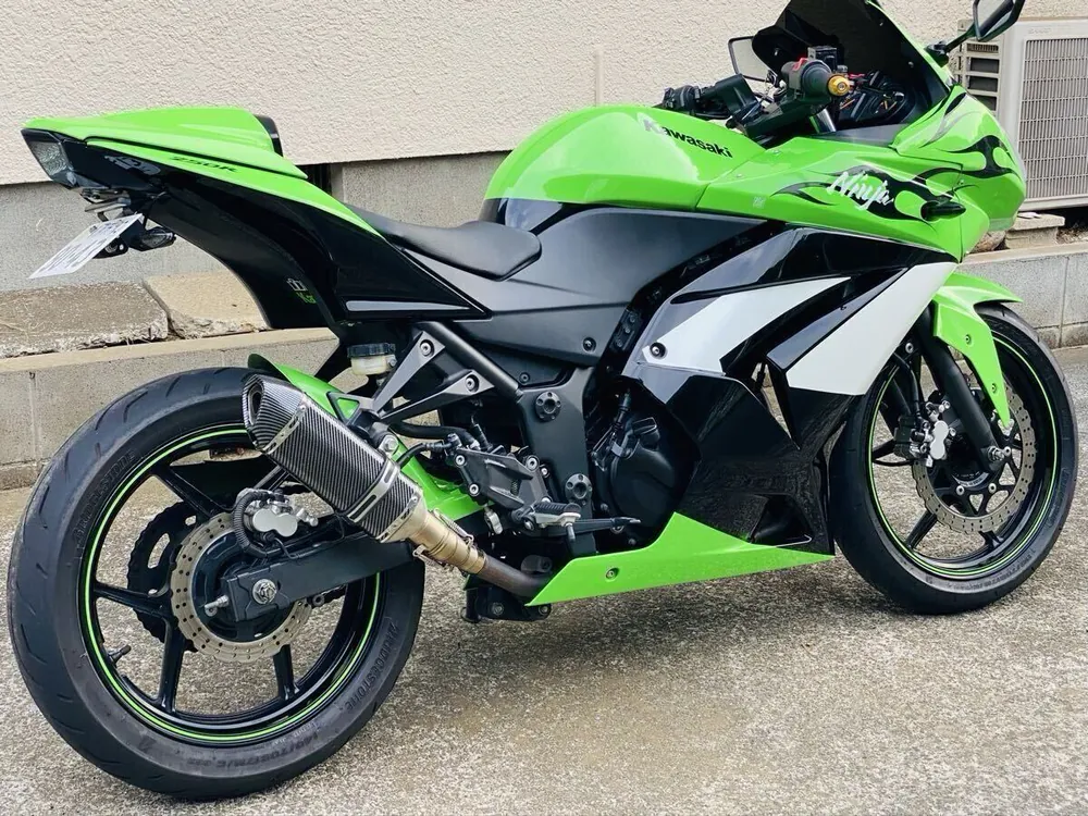Kawasaki Ninja 250R 2009, фото 4