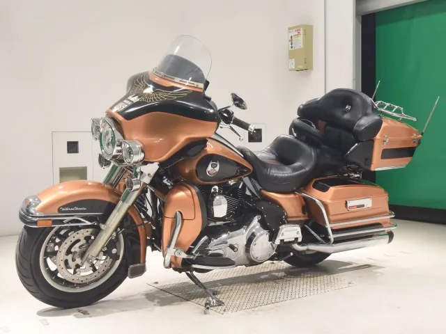 Harley-Davidson FLHTCU1580 2008, light brown, фото 4