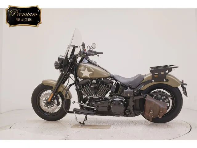 Harley-Davidson FLSS1800 2017, зелёный, фото 2