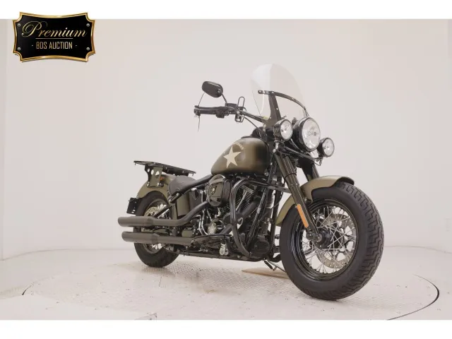 Harley-Davidson FLSS1800 2017, зелёный, фото 3