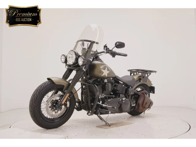 Harley-Davidson FLSS1800 2017, зелёный, фото 4