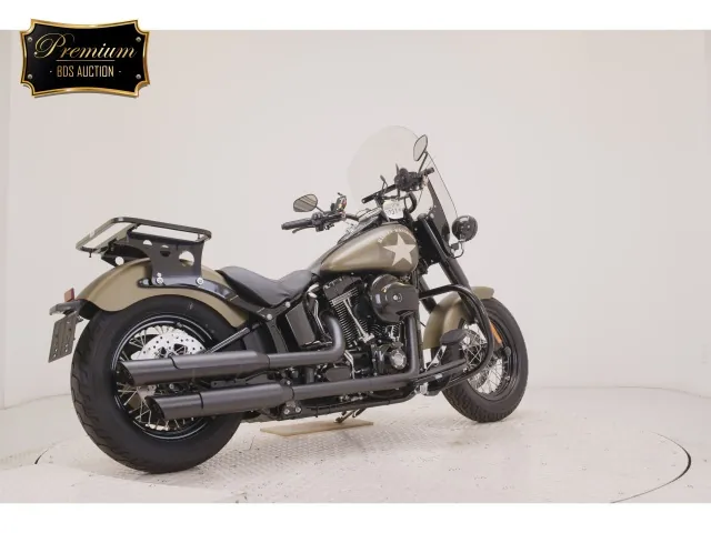 Harley-Davidson FLSS1800 2017, зелёный, фото 5