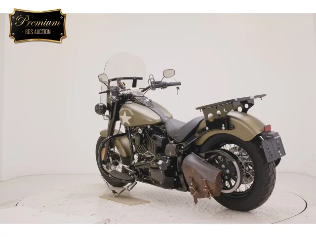 Harley-Davidson FLSS1800 2017, зелёный, фото 6