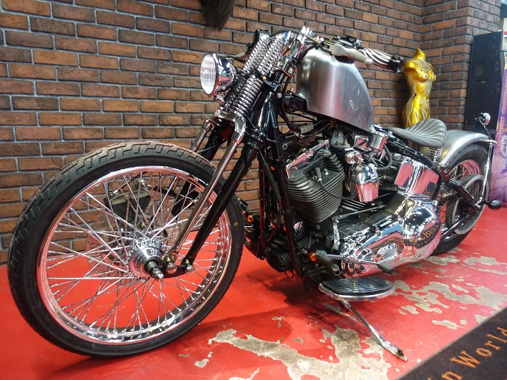 Harley-Davidson FLSTC 2005, фото 5