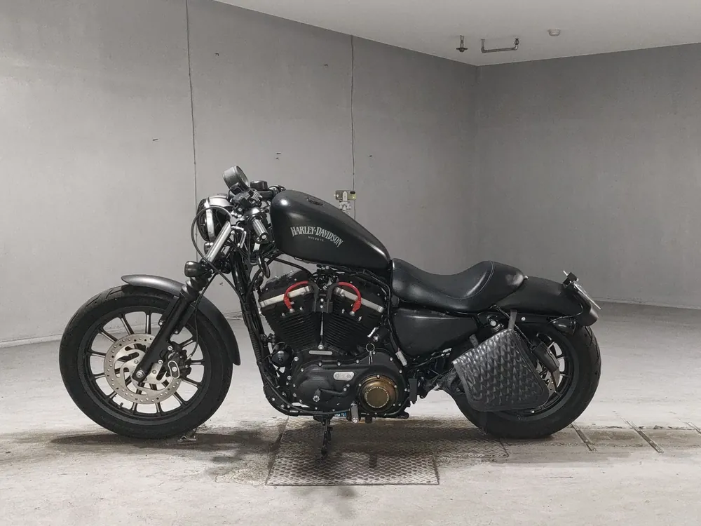 Harley-Davidson XL883N 2015, чёрный, фото 2