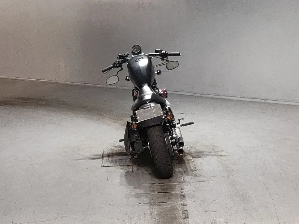 Harley-Davidson XL883N 2015, чёрный, фото 4