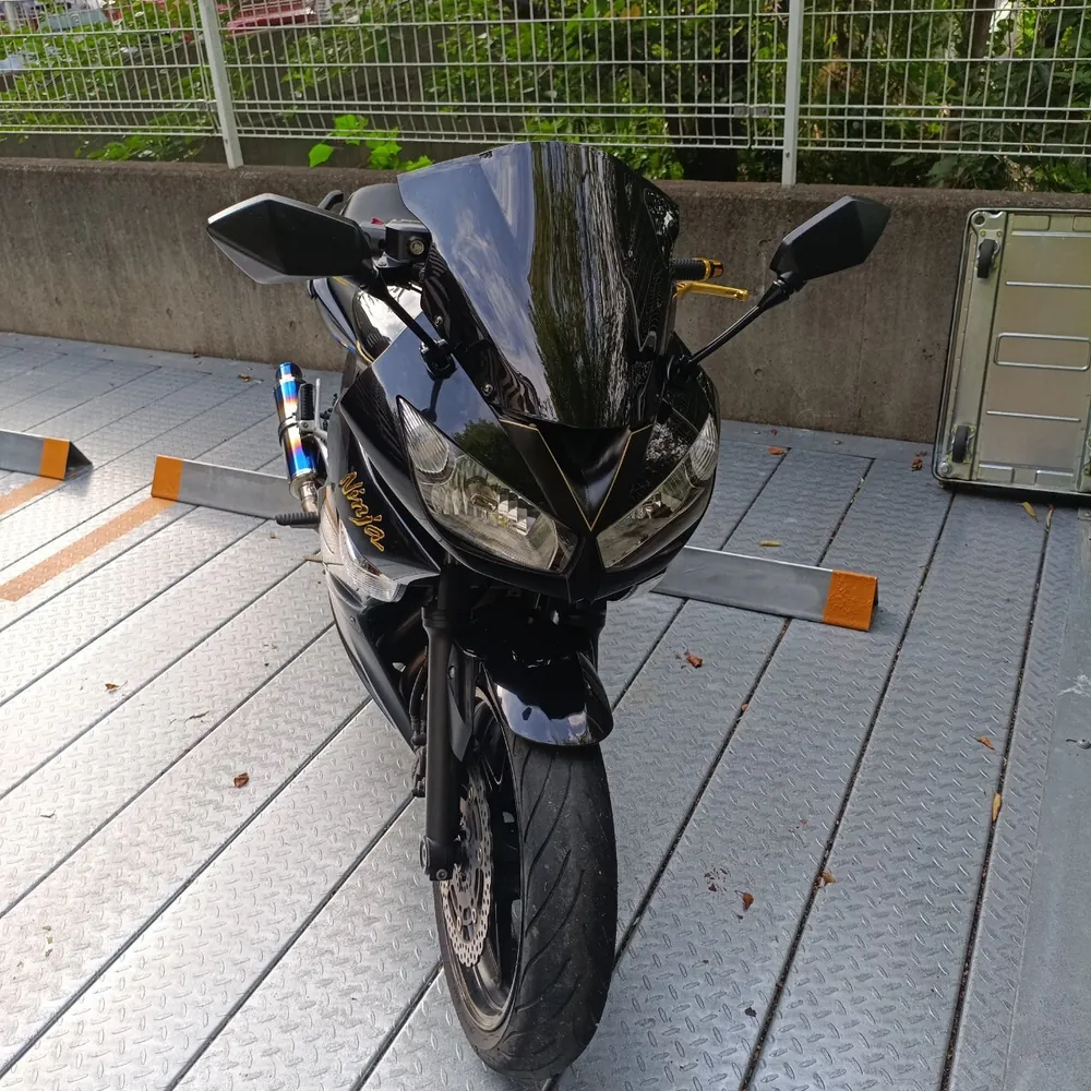 Kawasaki Ninja 400 2010, фото 3