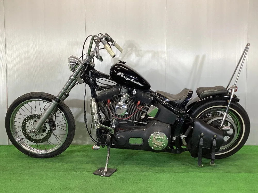 Harley-Davidson Night Train из Японии, фото 6