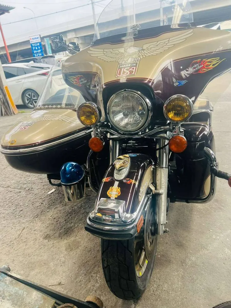 Harley-Davidson Electra Glide 1998, фото 3