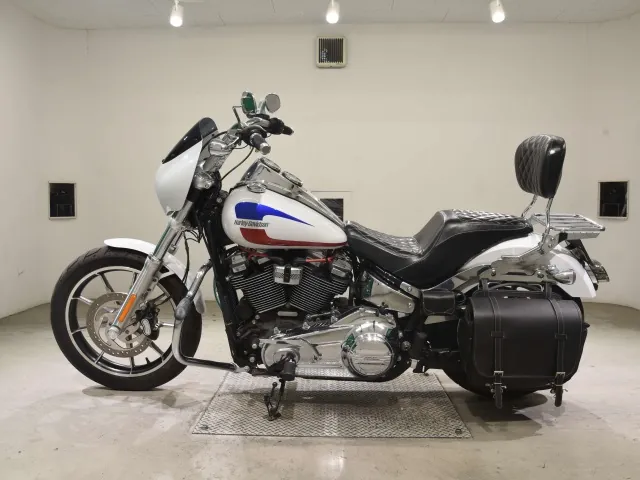 Harley-Davidson FXLR1750 2020, белый, фото 2