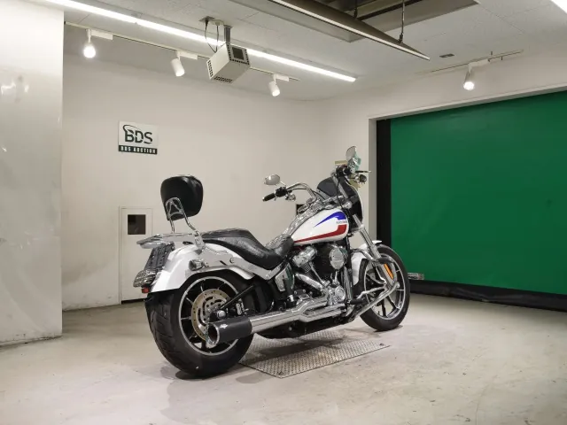 Harley-Davidson FXLR1750 2020, белый, фото 5