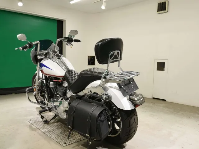 Harley-Davidson FXLR1750 2020, белый, фото 6
