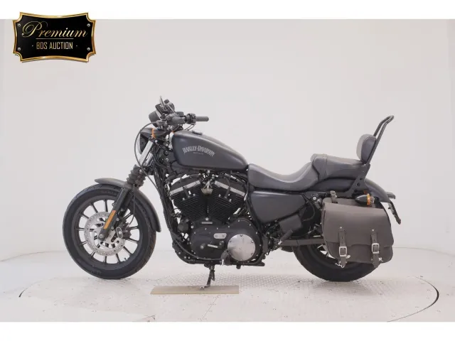 Harley-Davidson XL883N 2014, matt black, фото 2