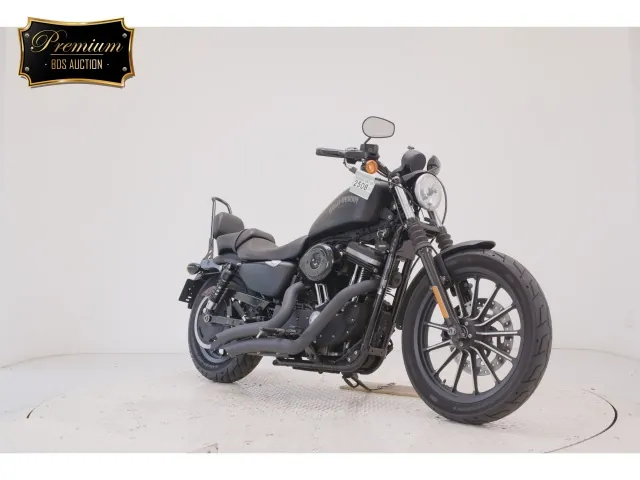 Harley-Davidson XL883N 2014, matt black, фото 3