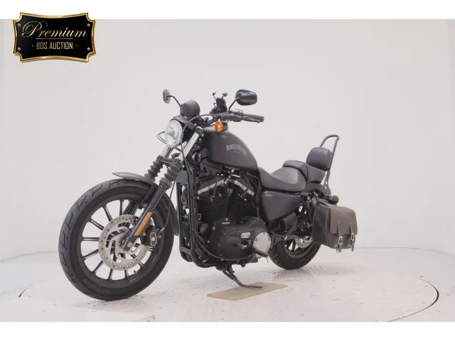 Harley-Davidson XL883N 2014, matt black, фото 4