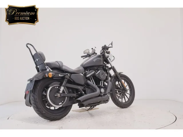 Harley-Davidson XL883N 2014, matt black, фото 5