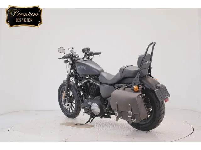 Harley-Davidson XL883N 2014, matt black, фото 6