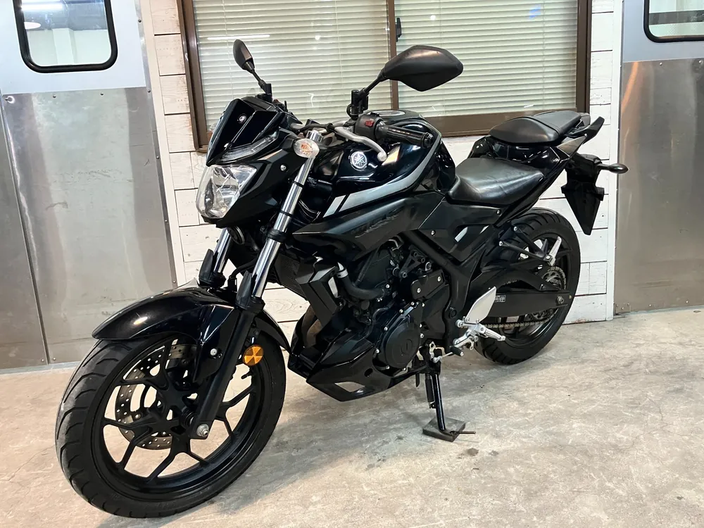 Yamaha MT-03 2019, чёрный, фото 8