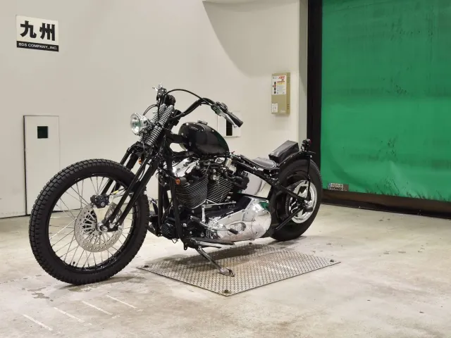 Harley-Davidson FLSTF 1450 2001, black | gray, фото 4