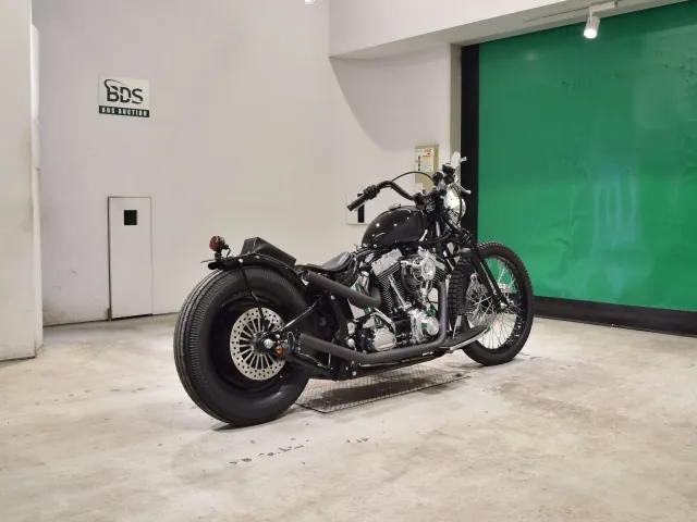 Harley-Davidson FLSTF 1450 2001, black | gray, фото 5