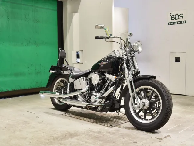 Harley-Davidson FLSTF 1450 2000, чёрный, фото 3