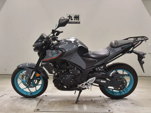 Yamaha YZF-R25, серый, фото 2