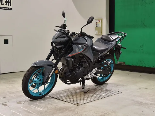 Yamaha YZF-R25, серый, фото 4