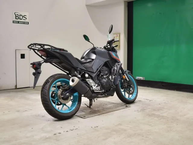 Yamaha YZF-R25, серый, фото 5