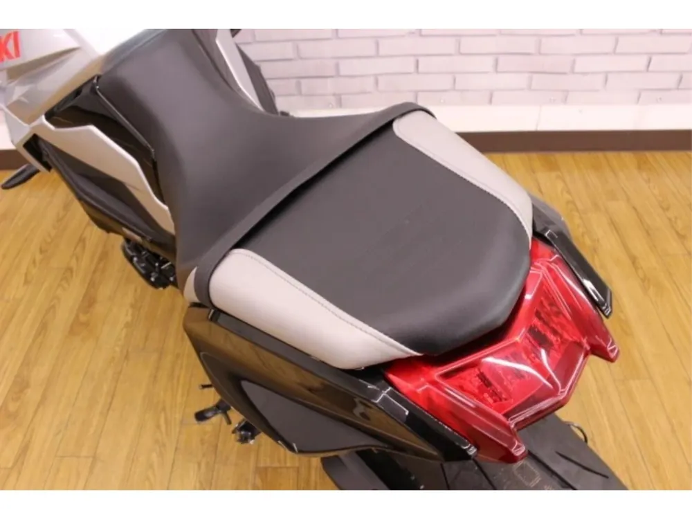 Suzuki GSX-S1000SR 2019, серебристый, фото 8