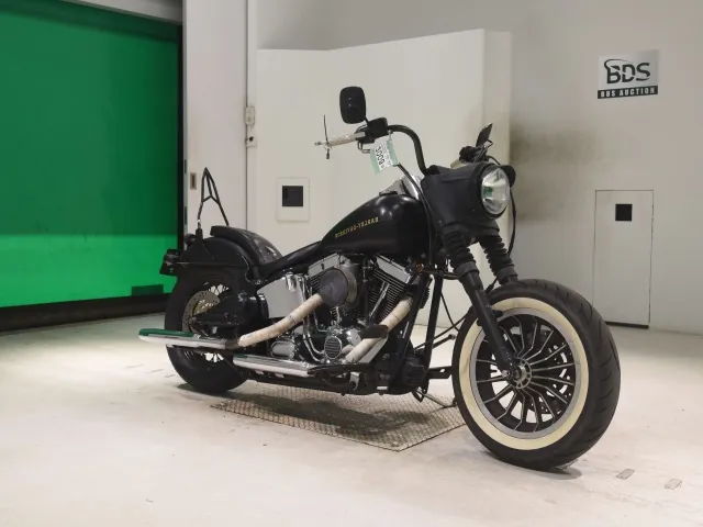 Harley-Davidson FLSTF 1450 2001, matt black, фото 3