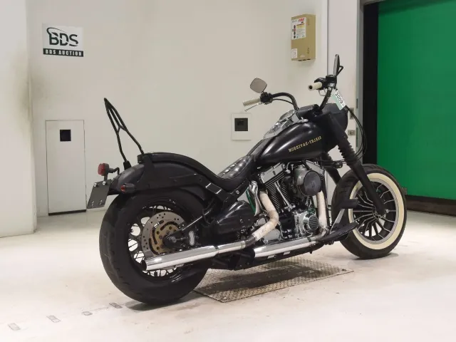 Harley-Davidson FLSTF 1450 2001, matt black, фото 5