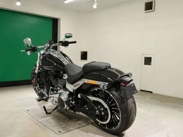 Harley-Davidson FXBR1920 2026, чёрный, фото 6