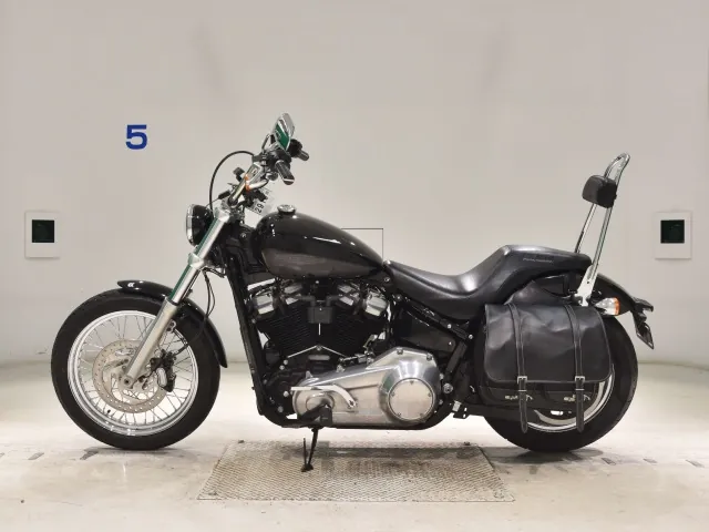 Harley-Davidson FXST1750 2020, чёрный, фото 2