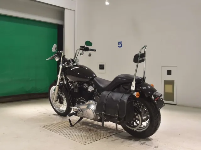 Harley-Davidson FXST1750 2020, чёрный, фото 6