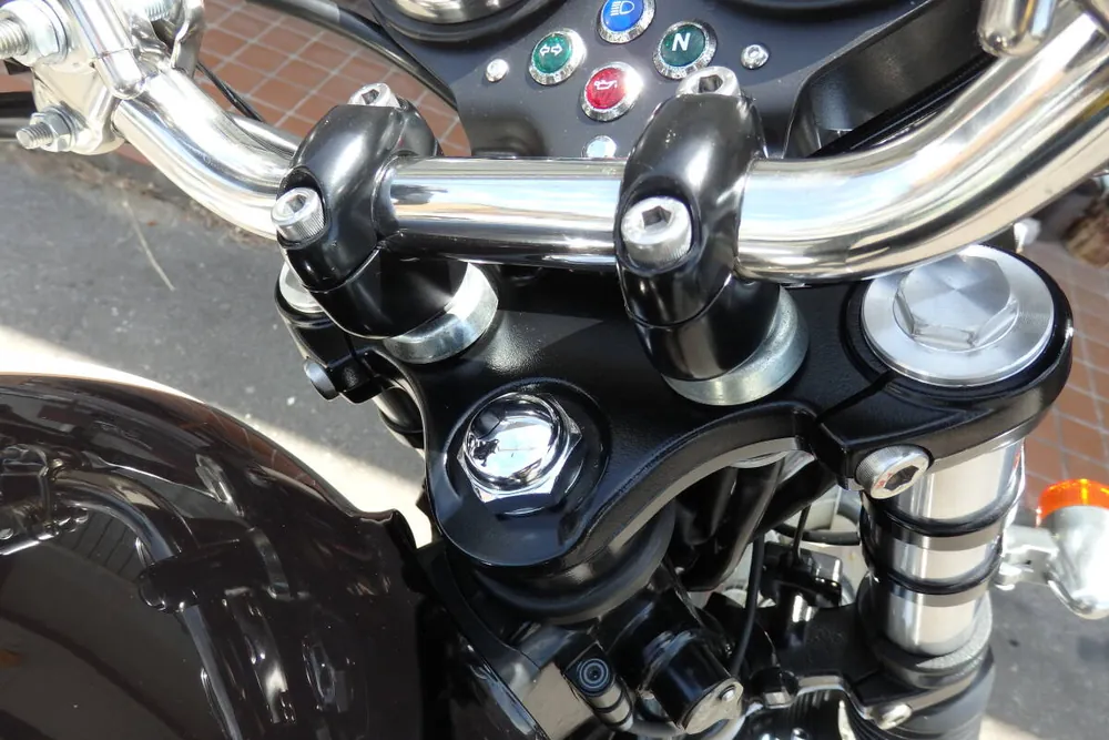 Triumph Bonneville T100 2009, фото 10