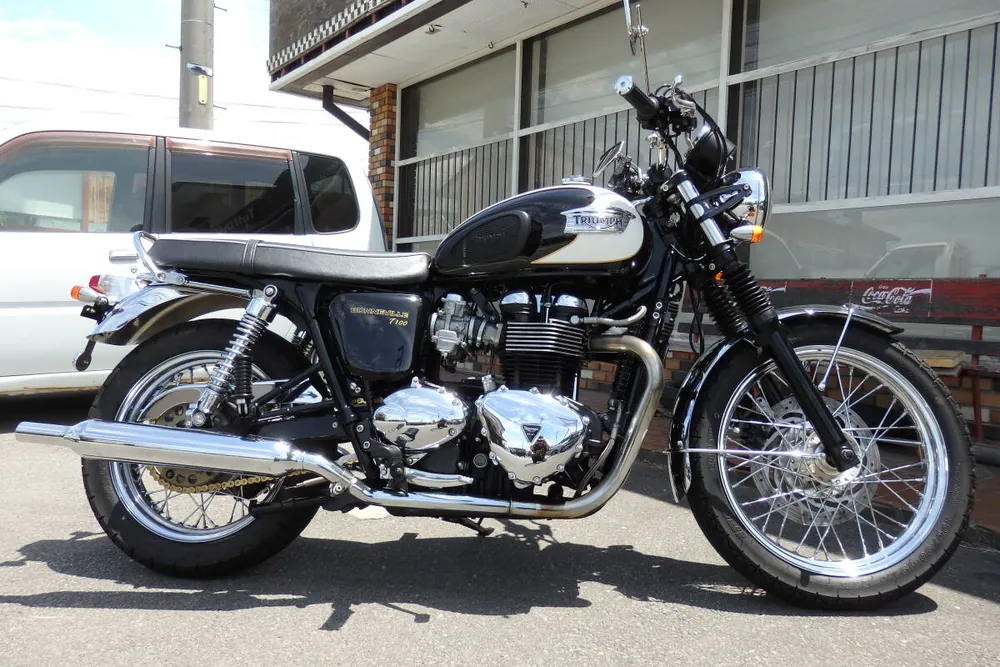 Triumph Bonneville T100 2009, фото 3