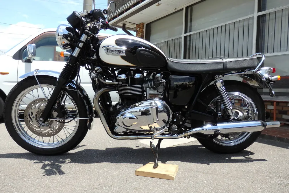 Triumph Bonneville T100 2009, фото 4